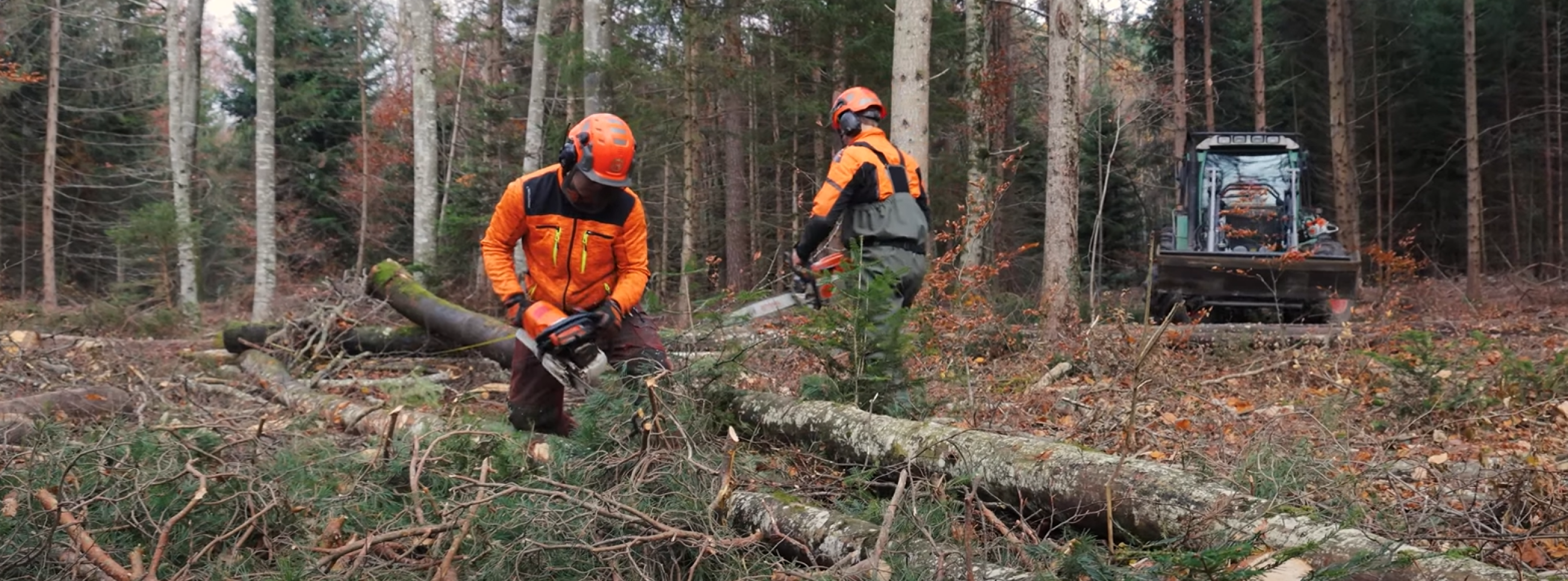 métier de forestier Groupe E