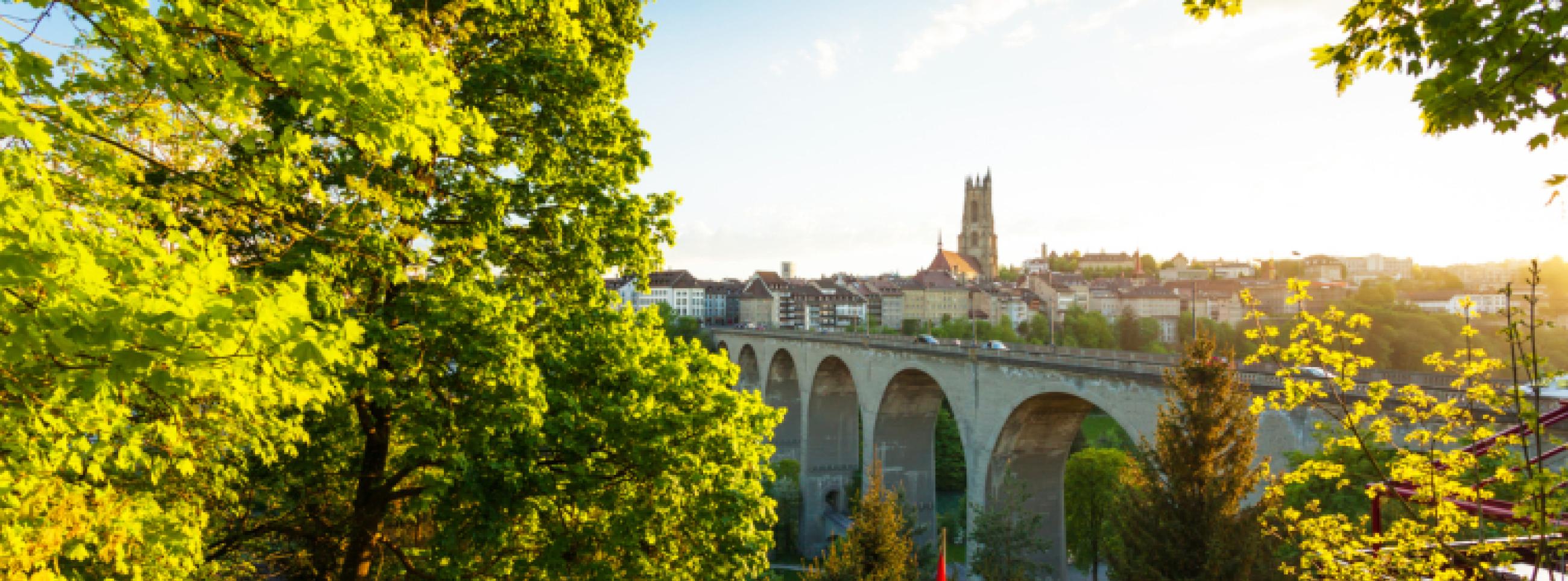 Chauffage à distance CAD Fribourg quartier d'Alt